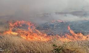 رئیس سازمان جهاد کشاورزی لرستان خبر داد؛خسارت ۲ میلیارد و ۴۰۰ میلیون تومانی آتش‌سوزی به مزارع خرم‌‌آباد