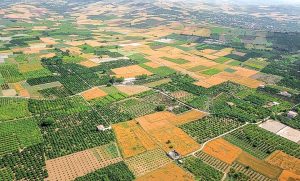 مدیرکل ثبت‌اسناد و املاک استان خبر داد؛ ثبت بیش از هفت هزار از اسناد اراضی کشاورزی در لرستان