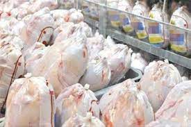 رئیس جهاد کشاورزی لرستان خبرداد؛ پیش بینی تولید هفت هزار و ۵۰۰ تن گوشت مرغ تا پایان مرداد جاری در استان