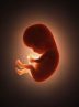 مطب یک ماما در قم به‌دلیل سقط جنین تعطیل شد