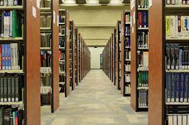 دبیرکل نهاد کتابخانه‌های عمومی کشور: رشد ۵۱ درصدی کتابخانه‌های سیار در دولت سیزدهم