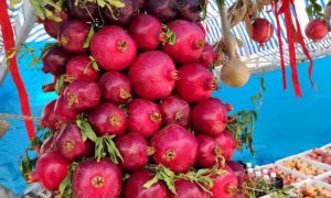 مدیر کل میراث فرهنگی لرستان خبر داد؛ ثبت جشنواره ملی انار در تقویم رویدادهای گردشگری کشور