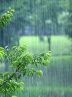 هوای قم از روز سه شنبه بارانی می شود