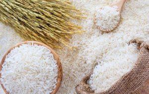 شایعه فساد در واردات برنج کار افرادی است که از کاهش قیمت برنج ناراضی هستند