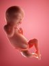 نجات یک نسل با منع سقط عمدی جنین؛ معضلی که قربانی باورهای اشتباه است