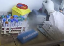 تولید کیت های تشخیصی کووید/صادرات واکسن هپاتیت بی به ونزوئلا