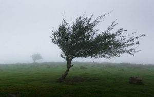 پیش‌بینی وزش باد نسبتا شدید و گردوخاک در قم