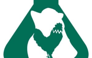 بهره‌گیری از دانش بومی برای تحقق اقتصاد مقاومتی در شرکت ‌«کیمیا دانش الوند»