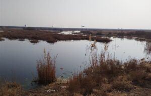 پایان ۱۴ سال تشنگی؛ تالاب بندعلی‌خان جان گرفت