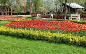 جشنواره لاله‌های کرج؛ تجلی زیبایی‌های طبیعی در دل شهر