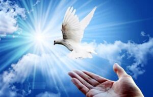 هزینه سالگرد پدر آزادی‌بخش یک زندانی شد