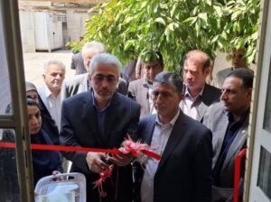 بهره برداری از ۱۰ طرح مخابراتی و ارتباطی بمناسبت هفته دولت در شهرستان پلدختر