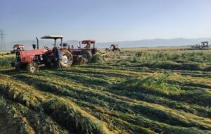 قرچک در انتظار تصفیه‌خانه؛ وعده ۳ ساله برای ساماندهی پساب شهری