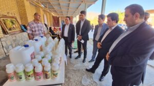 مدیر کل نظارت و ارزیابی تعاون وزارت کار:  بخش تعاون یکی از مردم‌ نهادترین بخش‌های اقتصادی ایران است