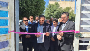 مدیرکل نظارت و ارزیابی بخش تعاون وزارت کار خبر داد؛ افتتاح چهار طرح تعاونی به ارزش ۶۸ میلیارد تومان در لرستان