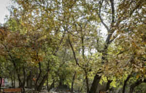 رود دره فرحزاد تهران توسط «دانشجویان شریف»  پاکسازی شد