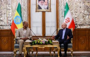 تأکید رؤسای مجالس ایران و اتیوپی بر توسعه همکاری‌ها