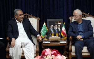 وزیر کشور پاکستان وارد تهران شد